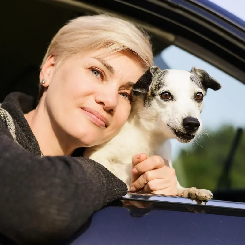 reati contro animali